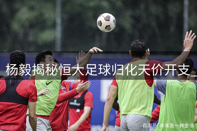 杨毅揭秘恒大足球归化天价开支 远超篮球项目投入